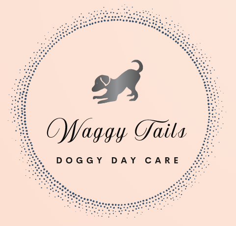 In home doggy daycare best sale near me